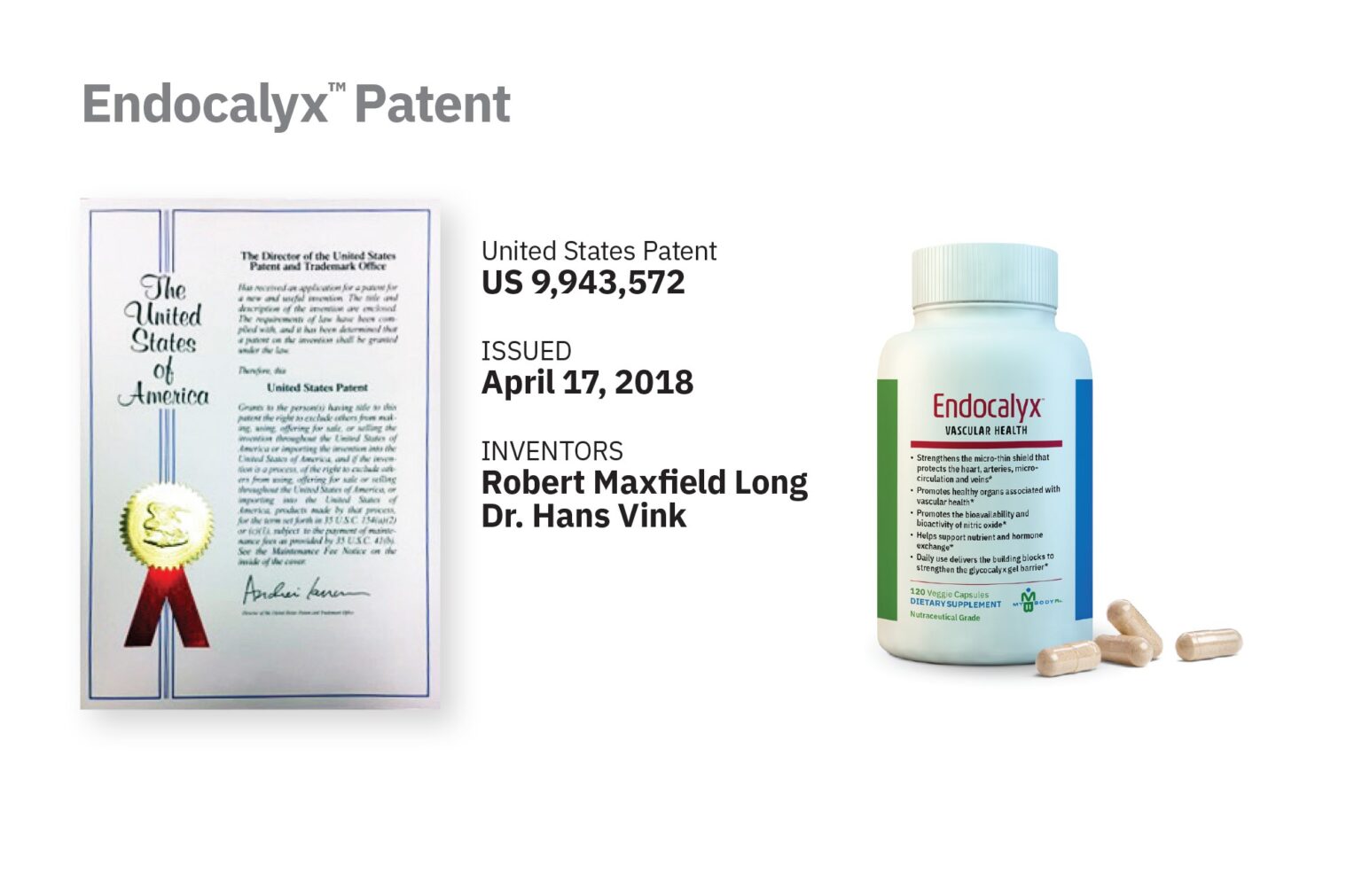 Endocalyx Patent